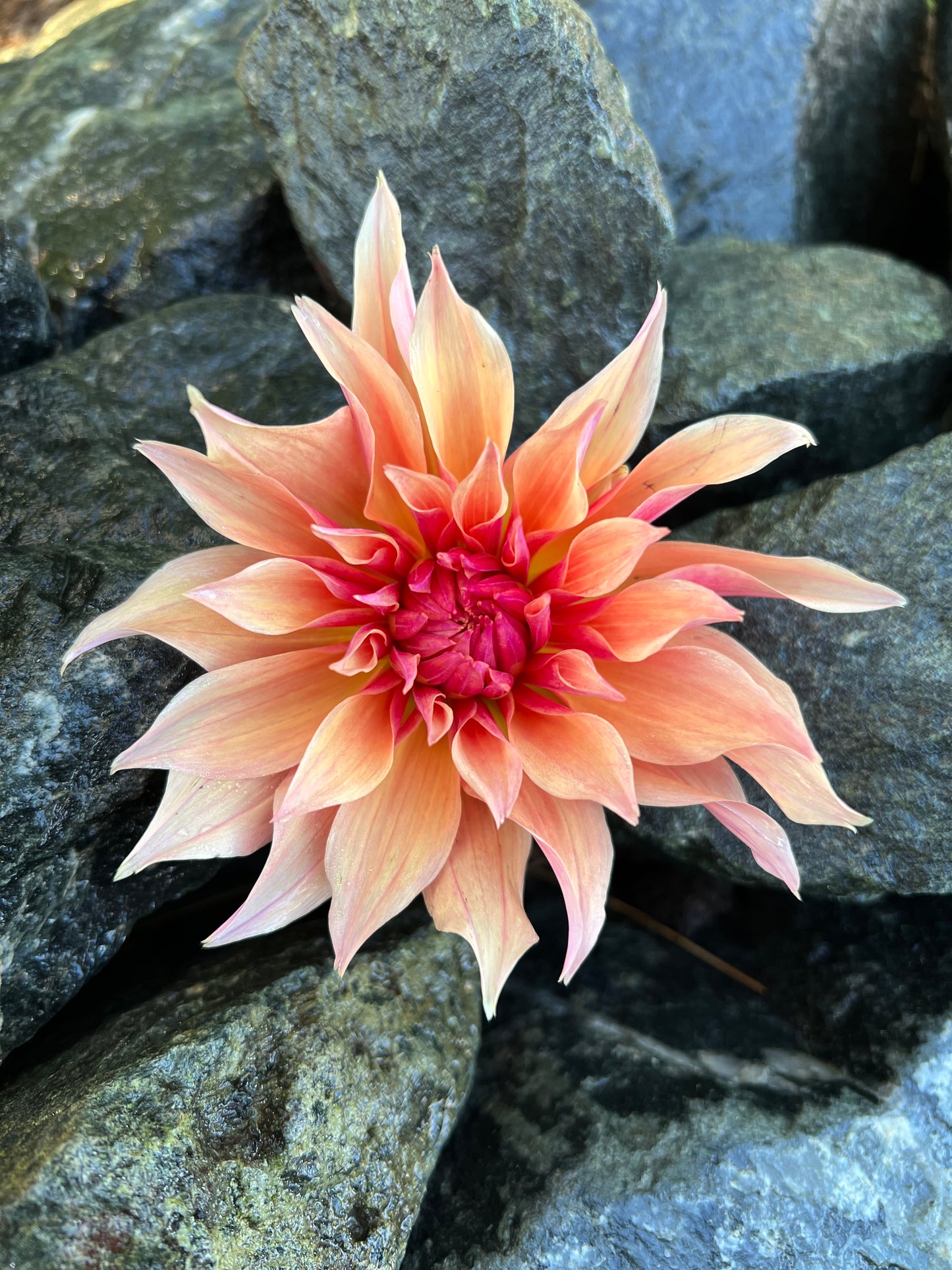 Labyrinth