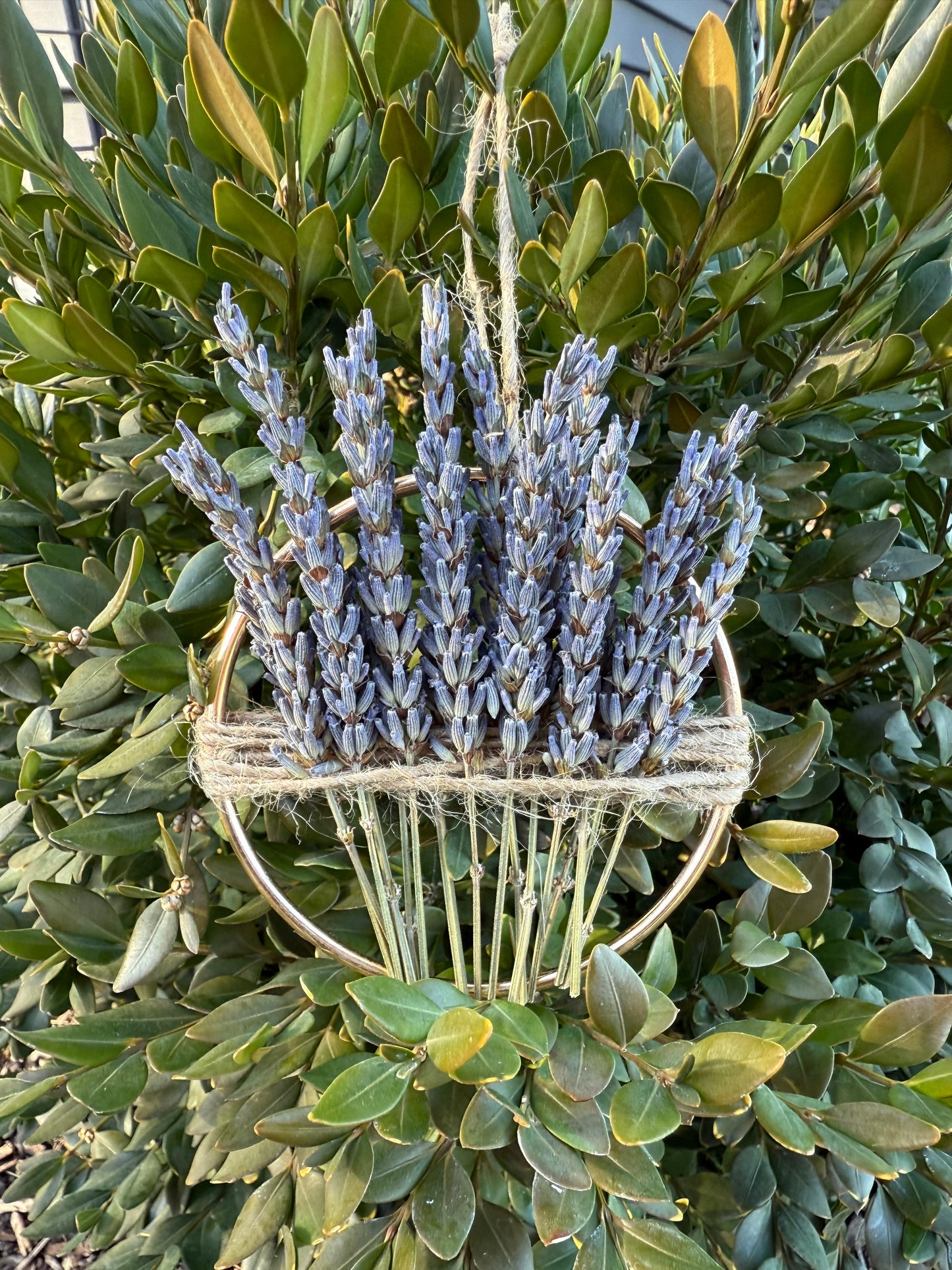 Everlasting Lavender Hoop Ornament