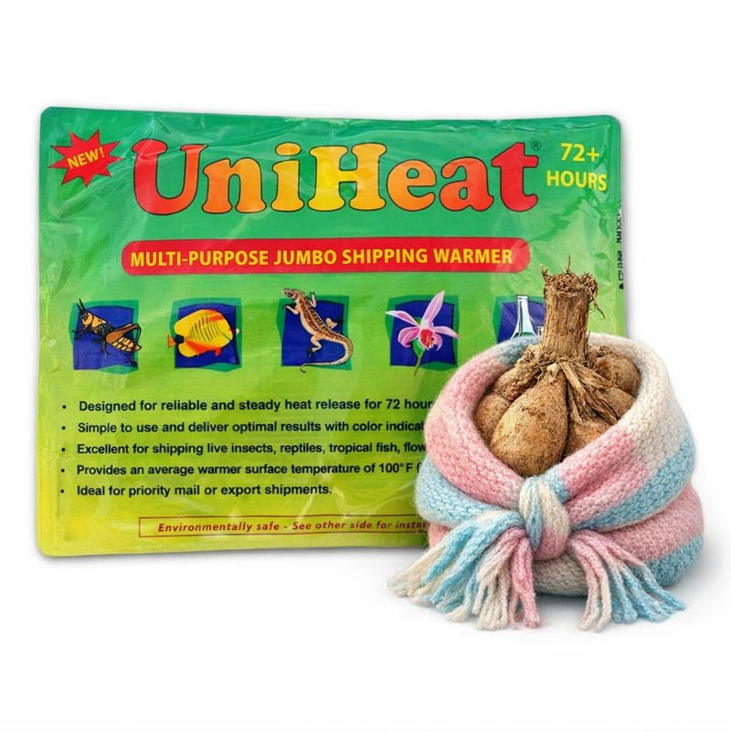 Early Shipping (March)